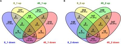 Transcription Analysis of the Stress and Immune Response Genes to Temperature Stress in Ostrinia furnacalis